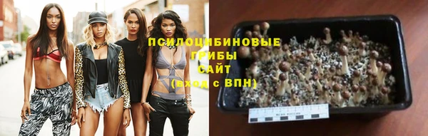 ПСИЛОЦИБИНОВЫЕ ГРИБЫ Михайлов