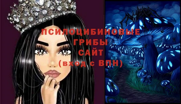 мяу мяу мука Михайловск